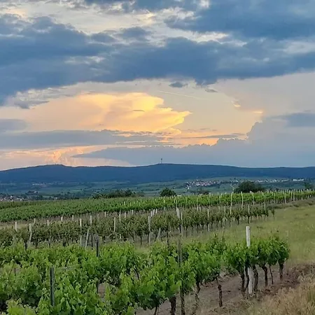 Feriehus Willkommen In Weisenheim Am Weisenheim am Sand