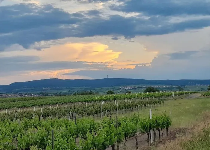 Feriehus Willkommen In Weisenheim Am Weisenheim am Sand